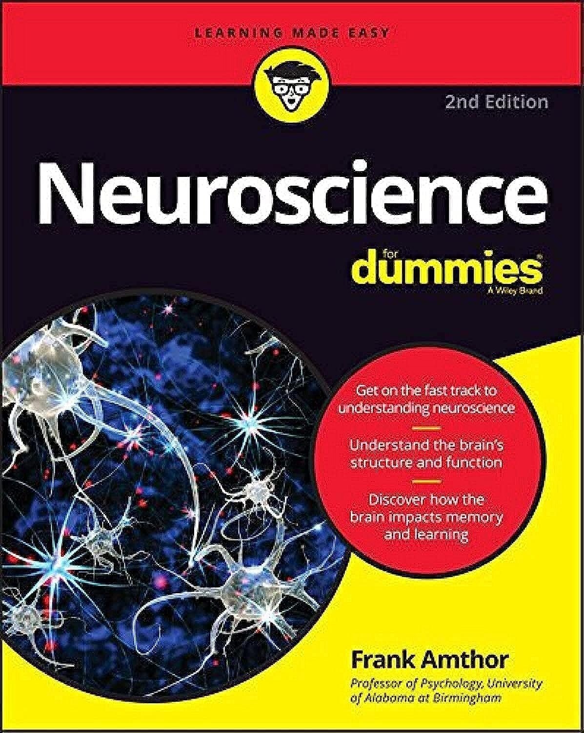 Neuroscience for Dummies by Frank Amthor